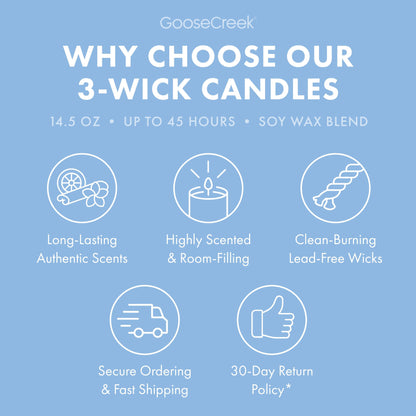 Blueberry Cheesecake 3-Wick Candle