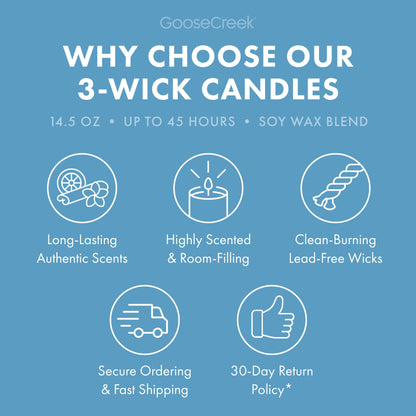 Blueberry Pancakes 3-Wick Candle