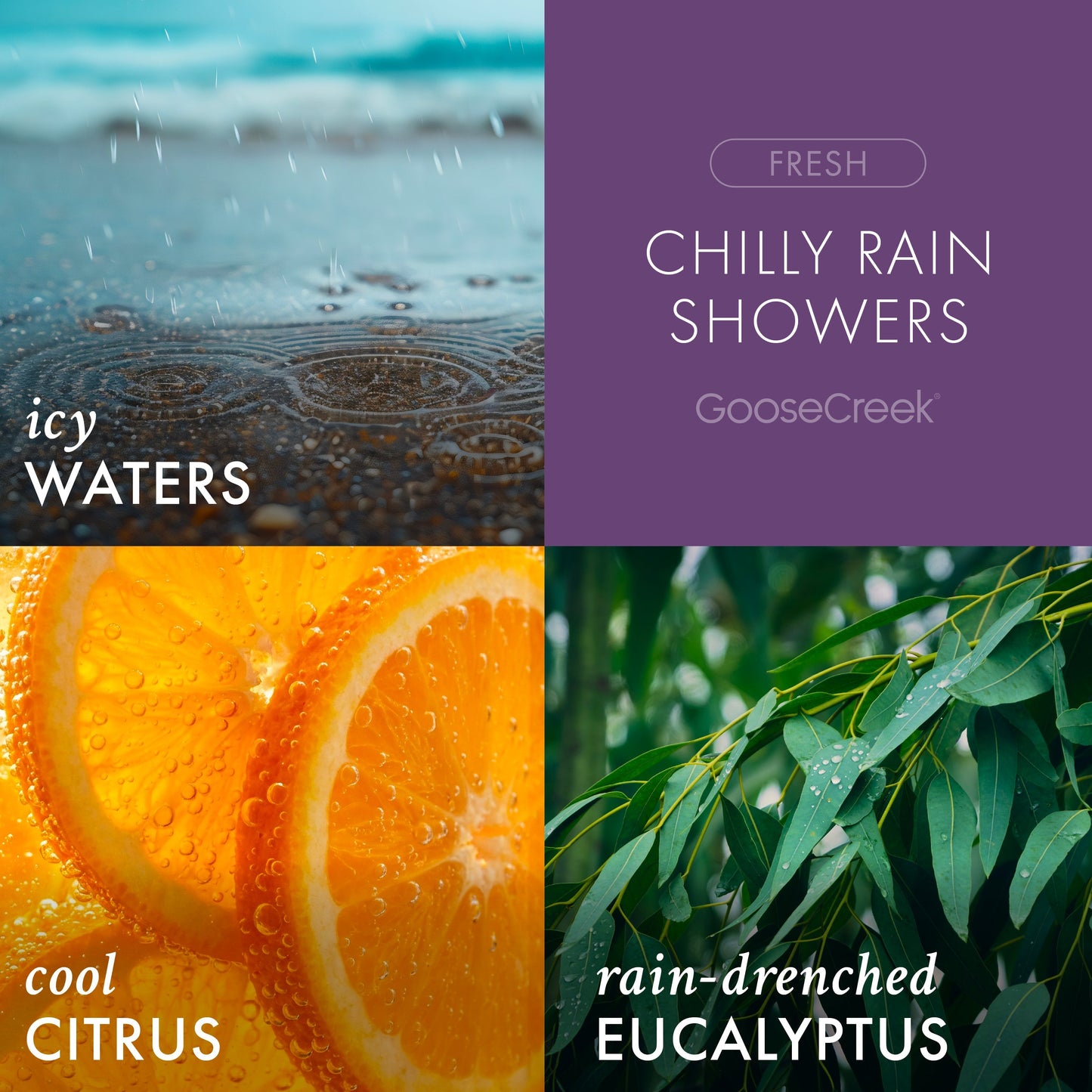 Chilly Rain Showers Odor Eliminating 7oz Single Wick Candle