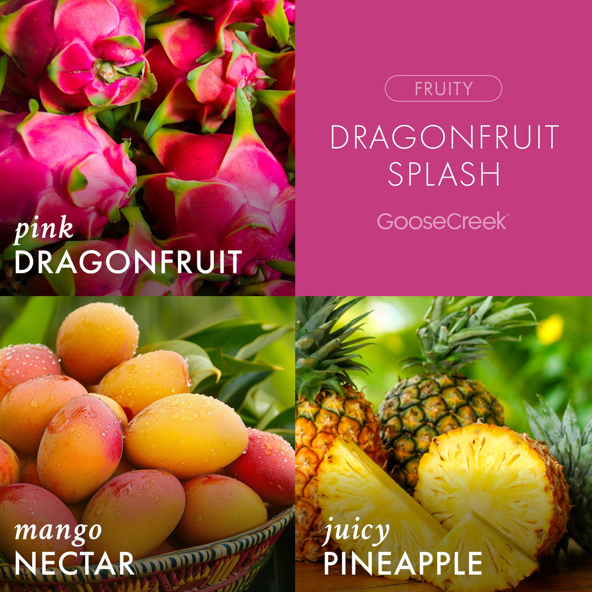 Dragonfruit Splash Odor Eliminating 7oz Single Wick Candle