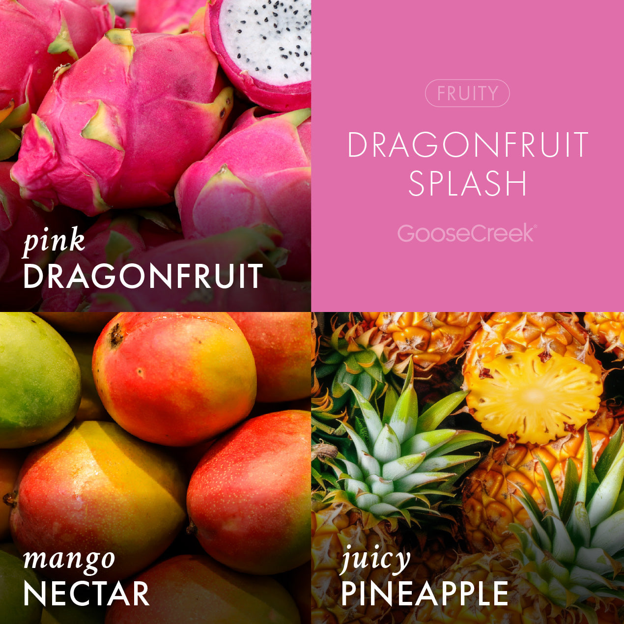 Dragonfruit Splash Odor Eliminating Wax Melt