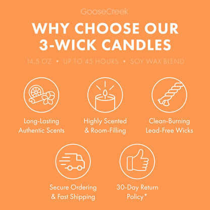 Farmstand Melon 3-Wick Candle