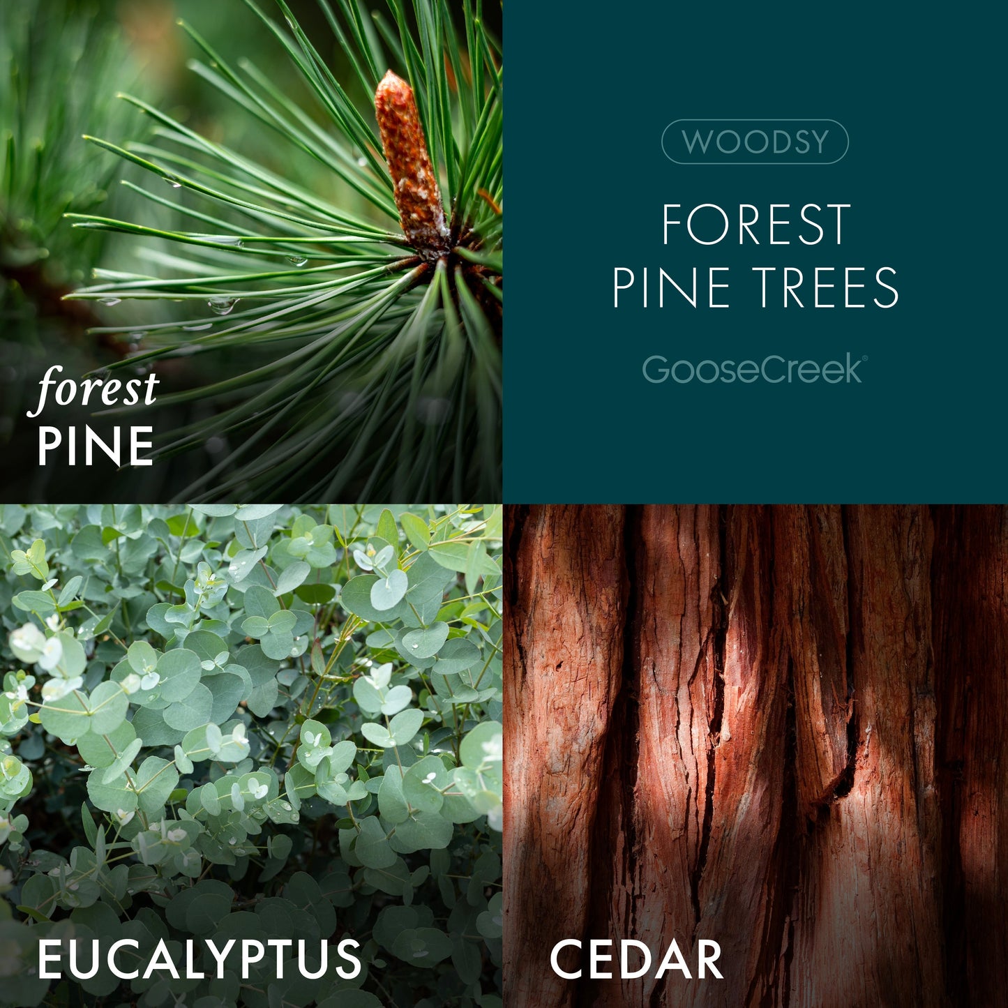 Forest Pine Trees 3-Wick Candle