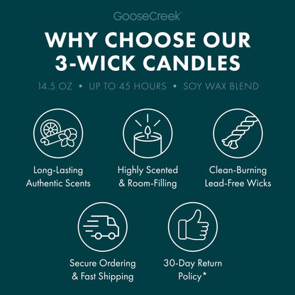 Forest Pine Trees 3-Wick Candle