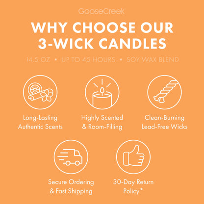 Georgia Peach 3-Wick Candle