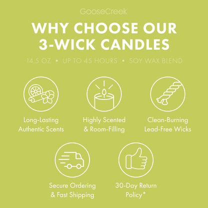 Honeydew Melon 3-Wick Candle