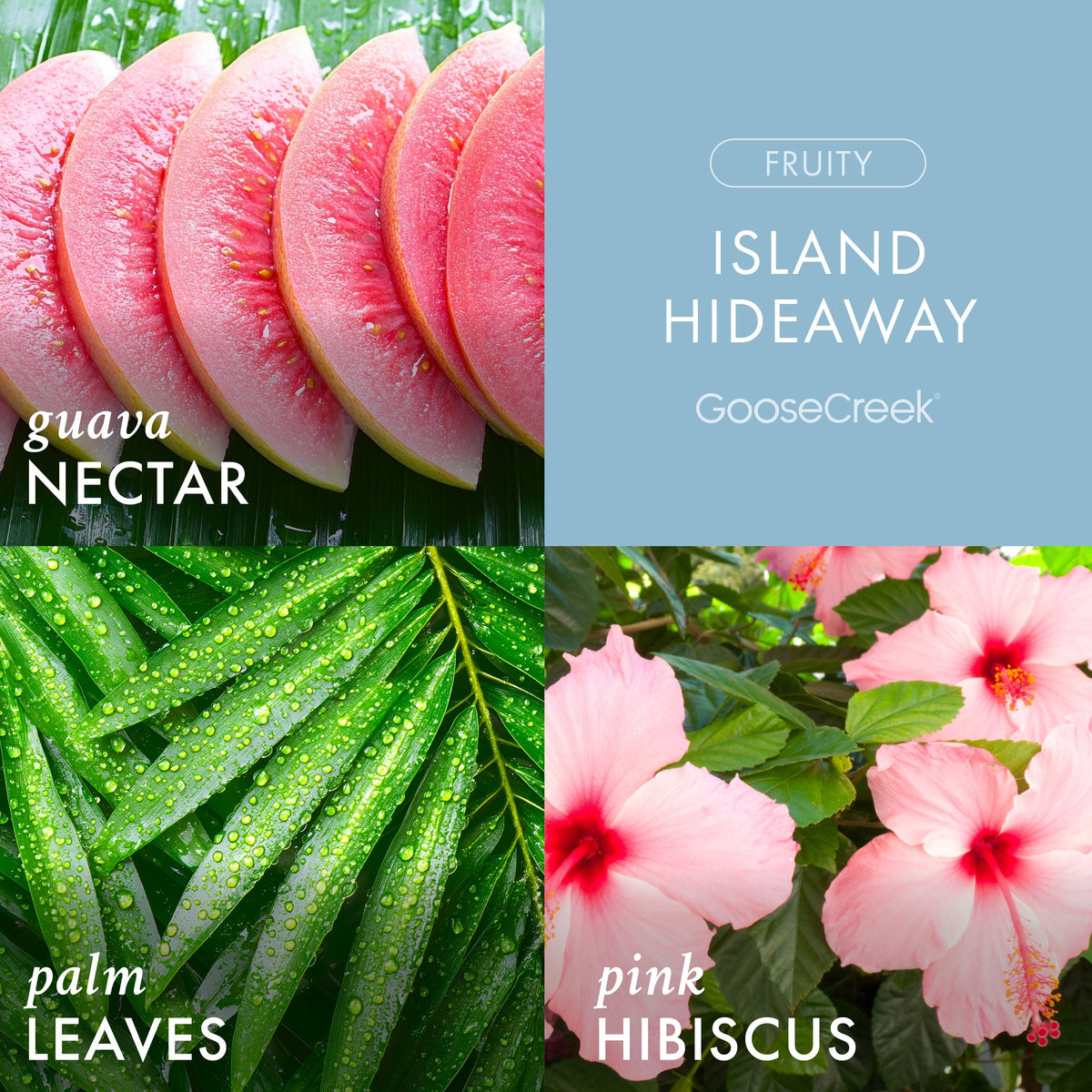 Island Hideaway 3-Wick Candle