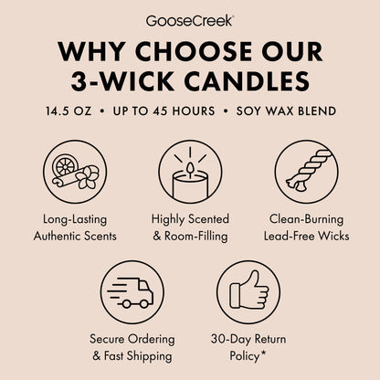 Ivory Pumpkin 3-Wick Candle