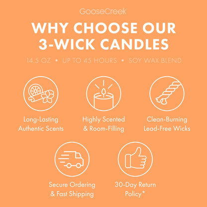 Mango Spritz 3-Wick Candle