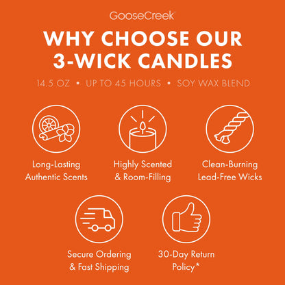Nickelodeon 3-Wick Candle