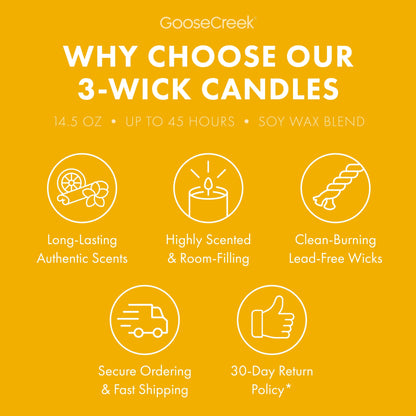Pineapple Ice Cream Cone 3-Wick Candle
