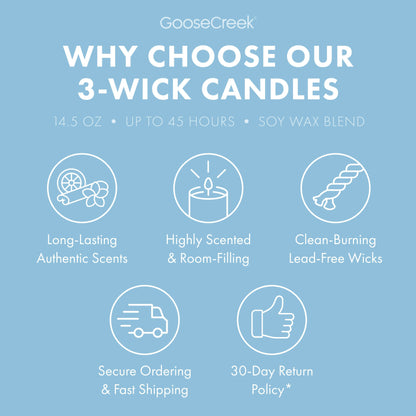Rocket Power Nickelodeon 3-Wick Candle