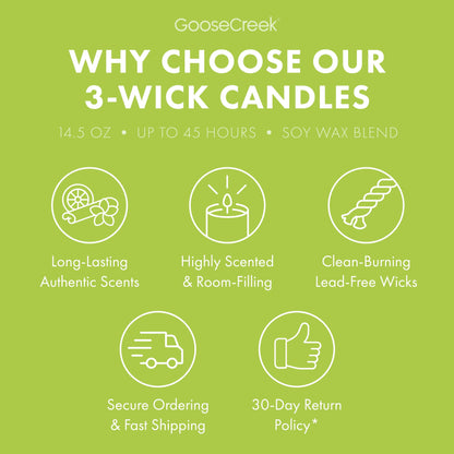 Rugrats Nickelodeon 3-Wick Candle