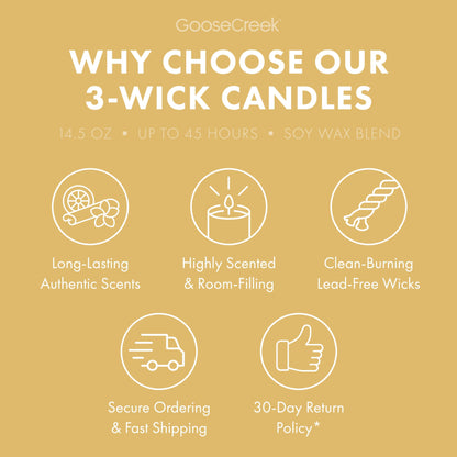 Sunlit Shores 3-Wick Candle