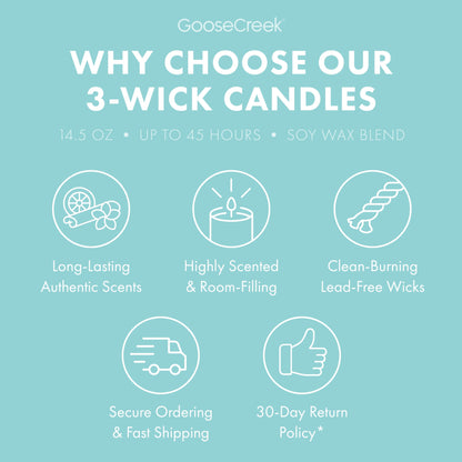Sweet Salt Water Taffy 3-Wick Candle