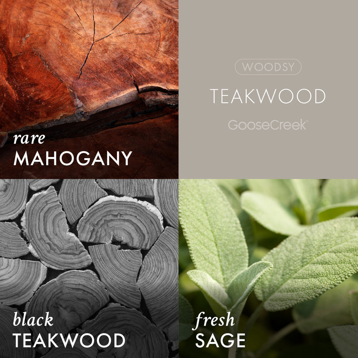 Teakwood Foaming Hand Soap