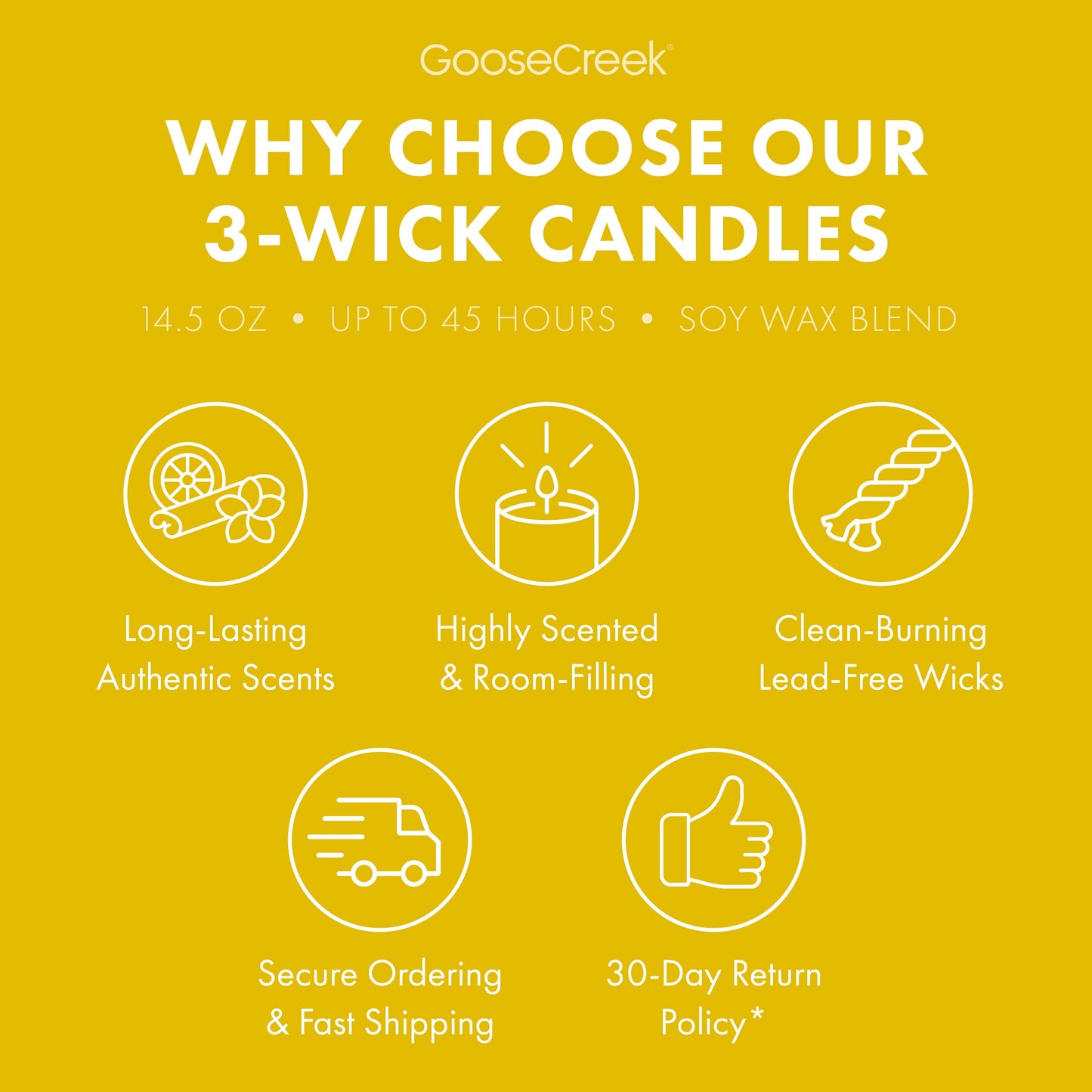 The Wild Thornberry's Nickelodeon 3-Wick Candle