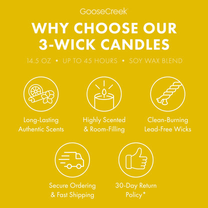 The Wild Thornberry's Nickelodeon 3-Wick Candle