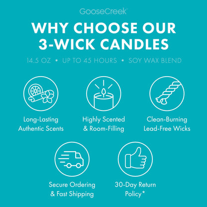 Tropical Daydream 3-Wick Candle